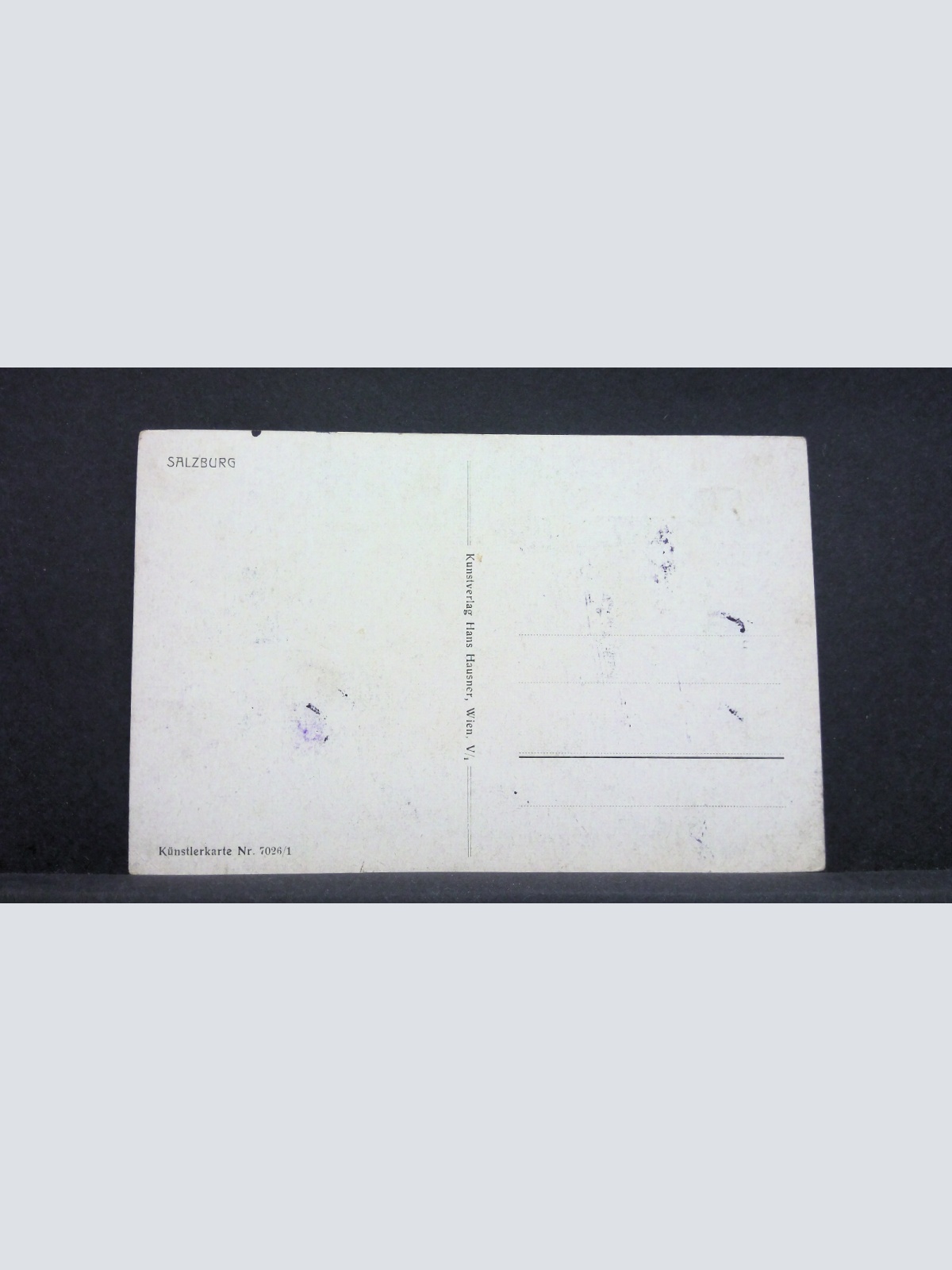 Künstlerkarte Salzburg Festung Zweige JW 165759
