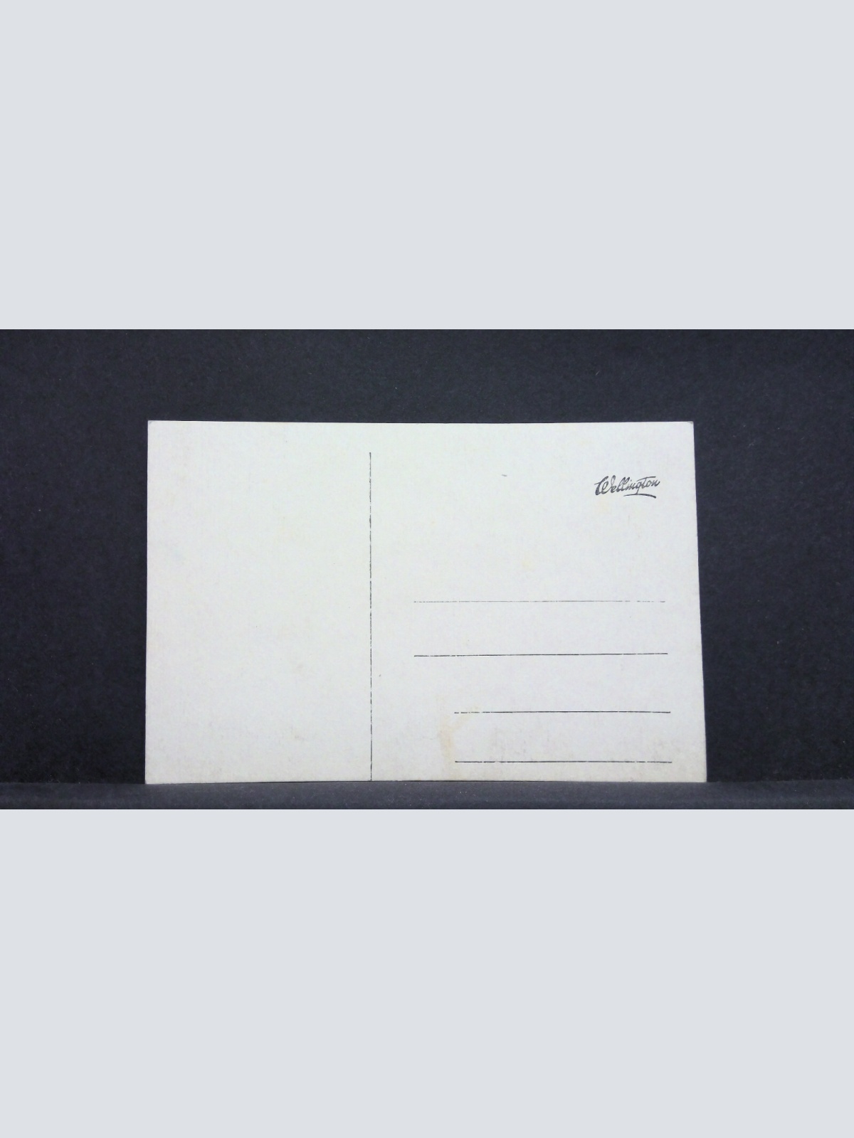 Schwarzstraße Salzburg Pferdefuhrwerk JW 8