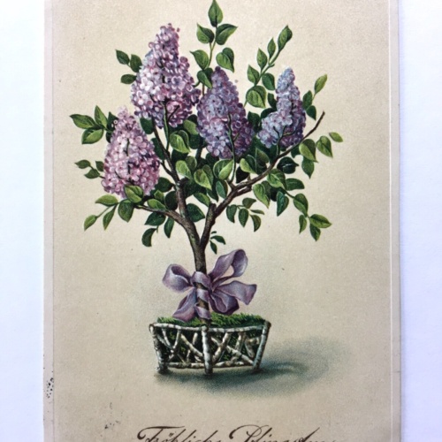 Fröhliche Pfingsten - Flieder - Künstlerkarte 40220 TH