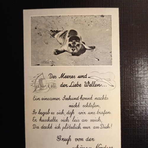 Seehunde, Gruß von der Nordsee 402802 gr C