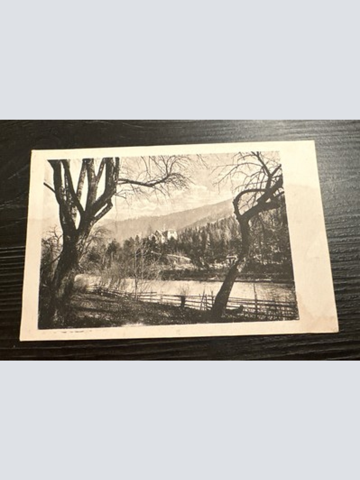 Truebenbach Trübenbach Schule Scheibbs, Bezirk Niederösterreich 6345898 J