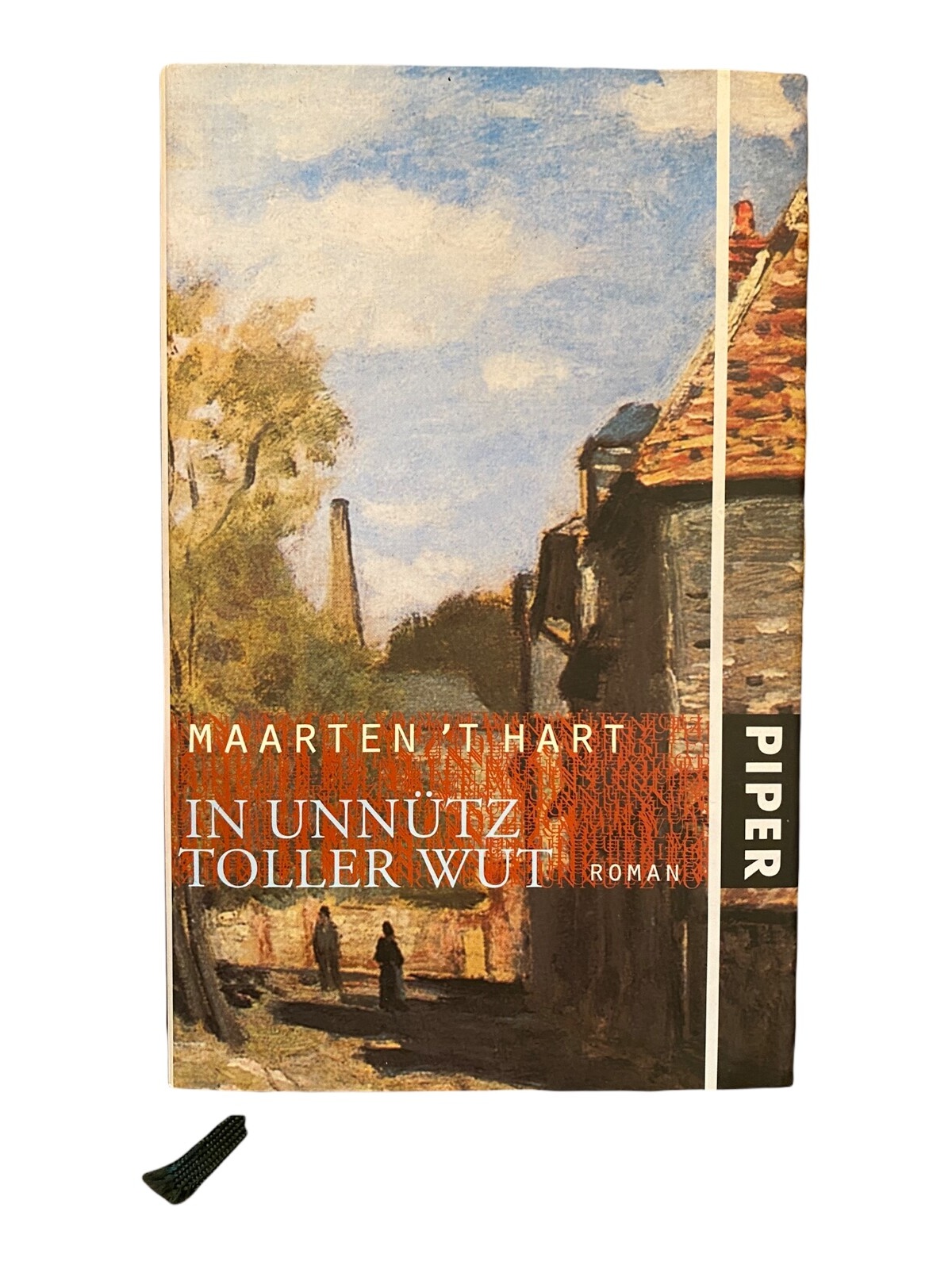 1197 Maarten T´Hart IN UNNÜTZ TOLLER WUT Roman HC NIEDERLÄNDISCHER ROMAN