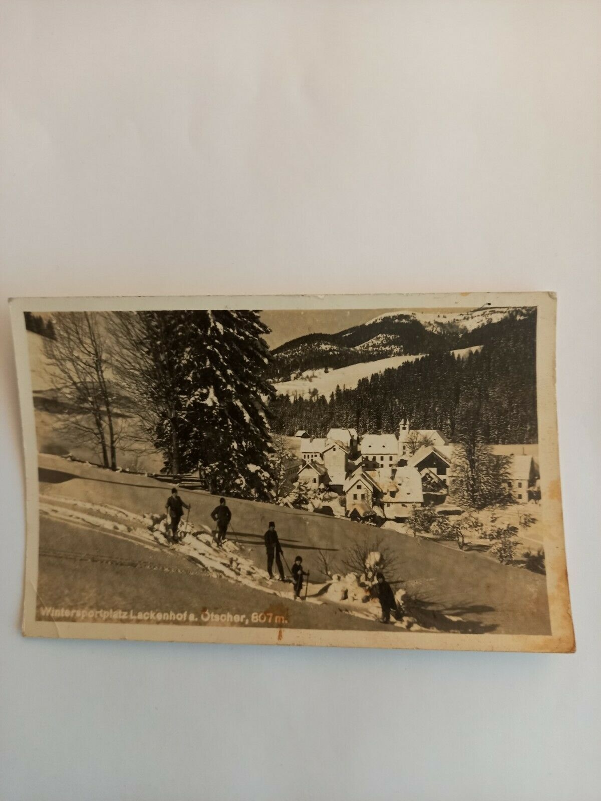 Niederösterreich,  Lackenhof a.Ötscher Skifahren Ski Skifahrer 541