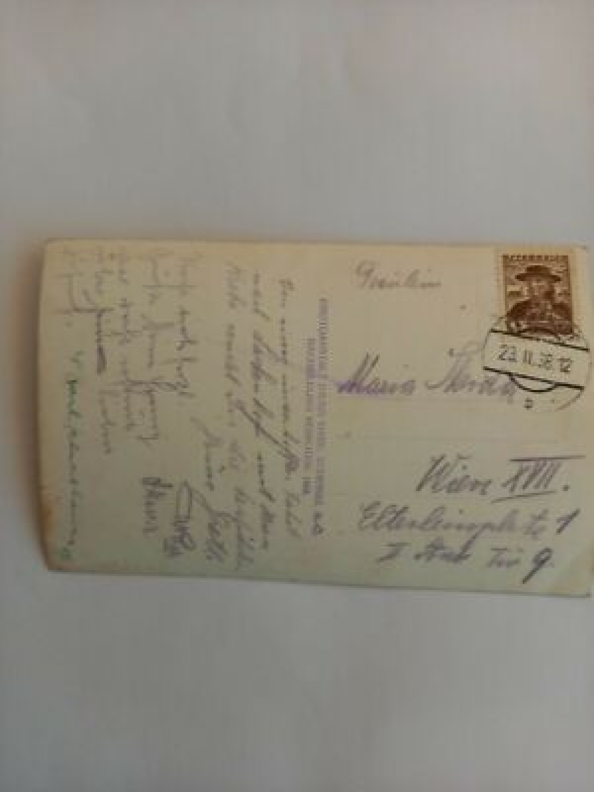 Niederösterreich,  Lackenhof a.Ötscher Skifahren Ski Skifahrer 541