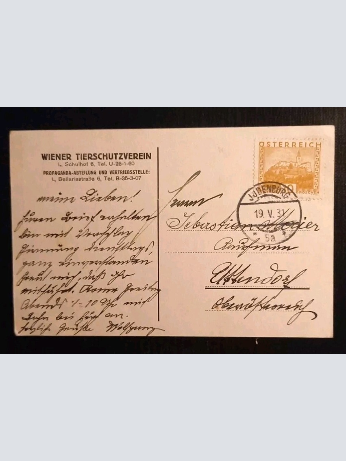 Wiener Tierschutzverein Hund Und Haus 402716 gr I