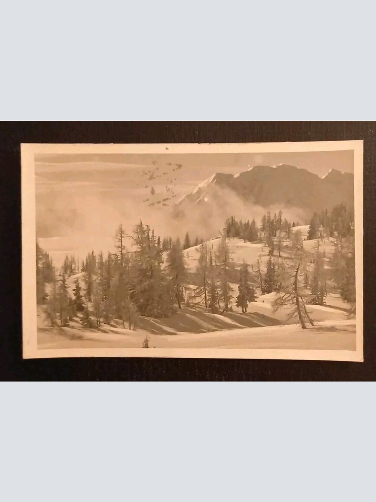 Tauplitz Hütte Skiurlaub 3201 gr I