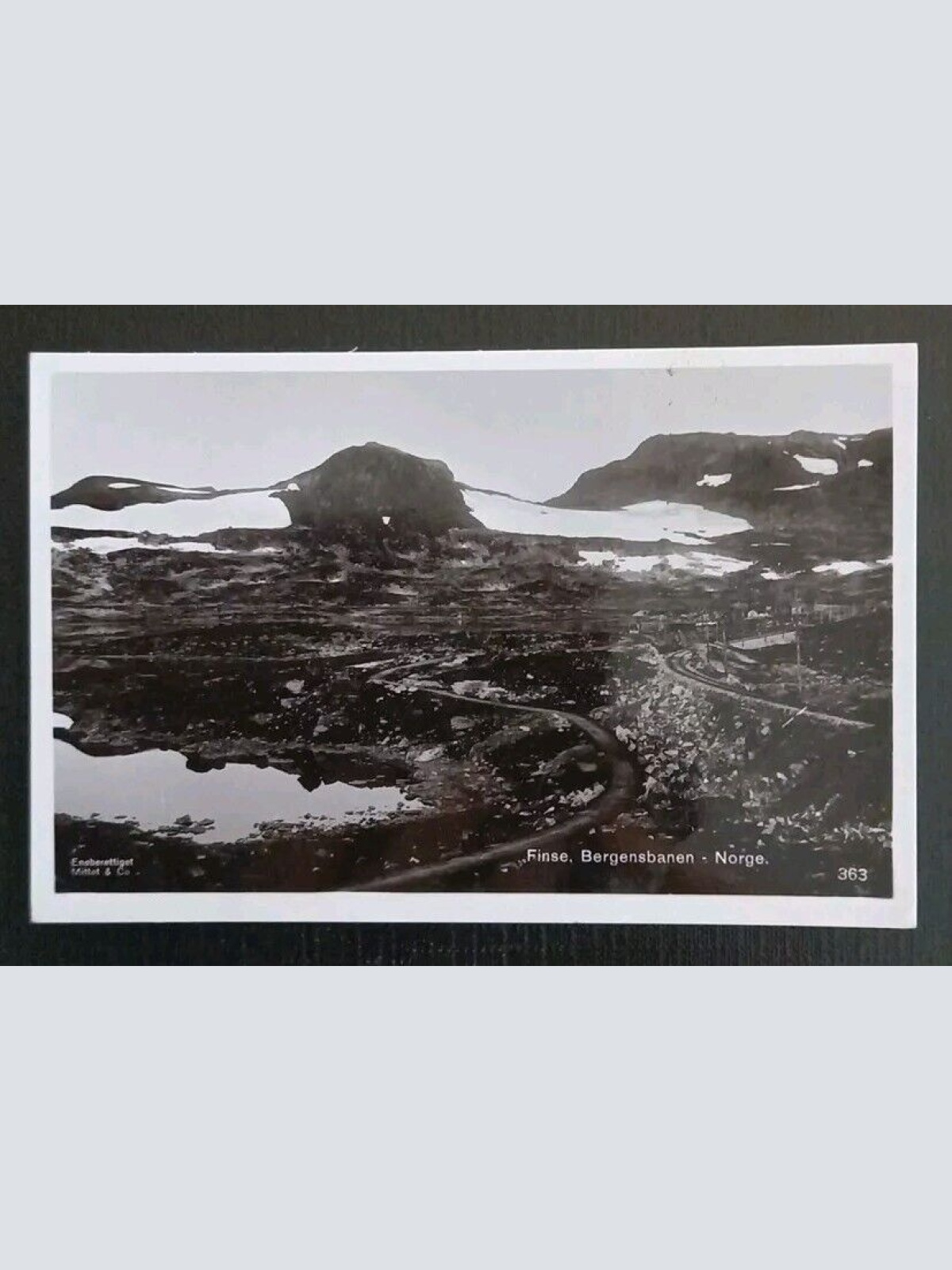 Finse Bergensbanen Norwegen 50069 gr I