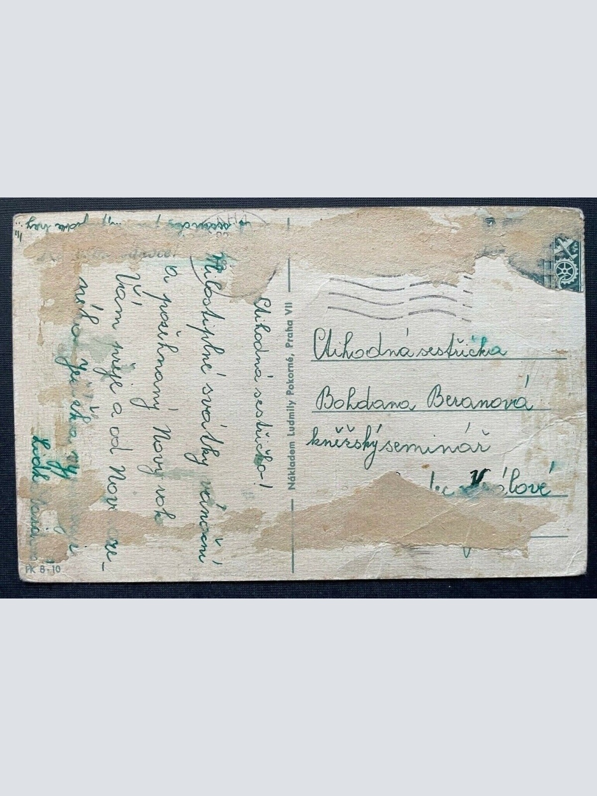 Narodil se Kristus Pán Christus Geburt Liedtext Kinder Hund Tschechien 410775 TH