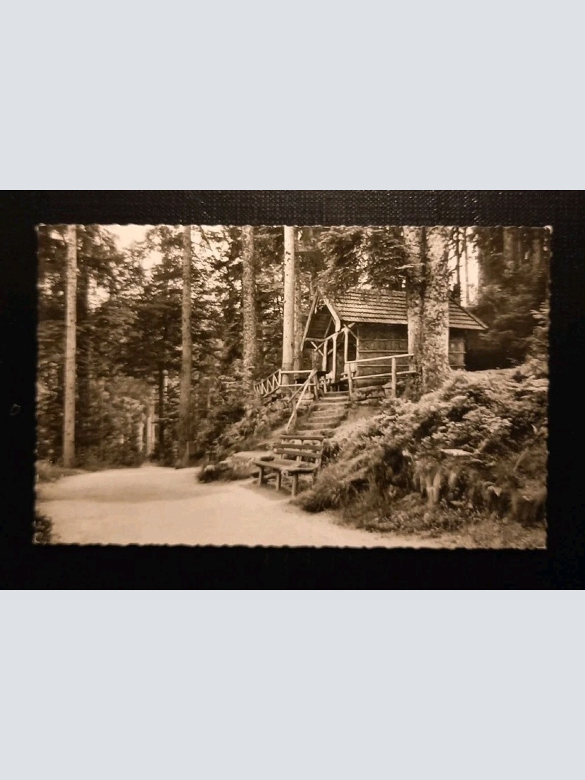 Freudenstadt Schwarzwald Teuchelweg Schöneckhütte 110114 Gr