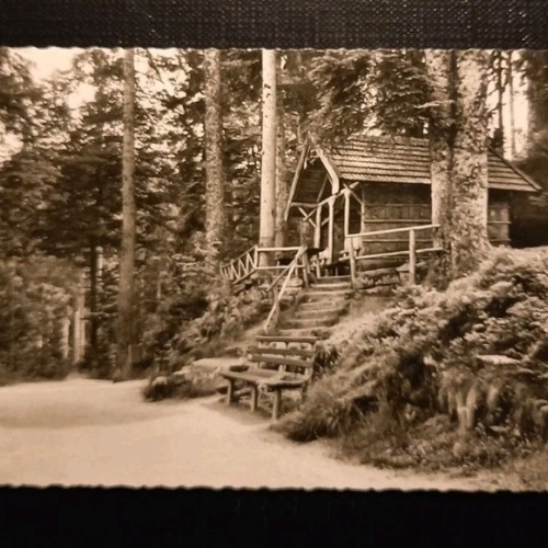 Freudenstadt Schwarzwald Teuchelweg Schöneckhütte 110114 Gr