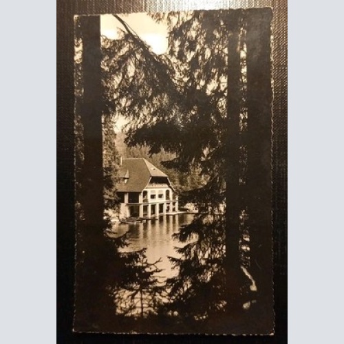 Freudenstadt Im Schwarzwald Langenwaldsee Haus Am See 20295 Gr