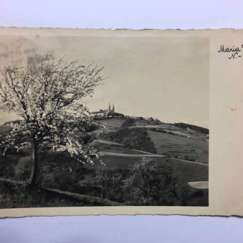 Maria Taferl 625 ShNÖ