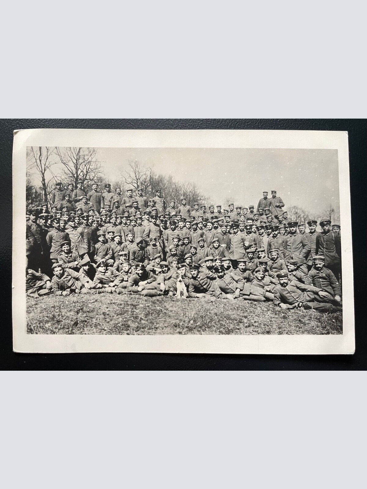 Gruppenaufnahme Soldaten Uniform Schirmmütze Hund Feld Militär Krieg 400598 TH