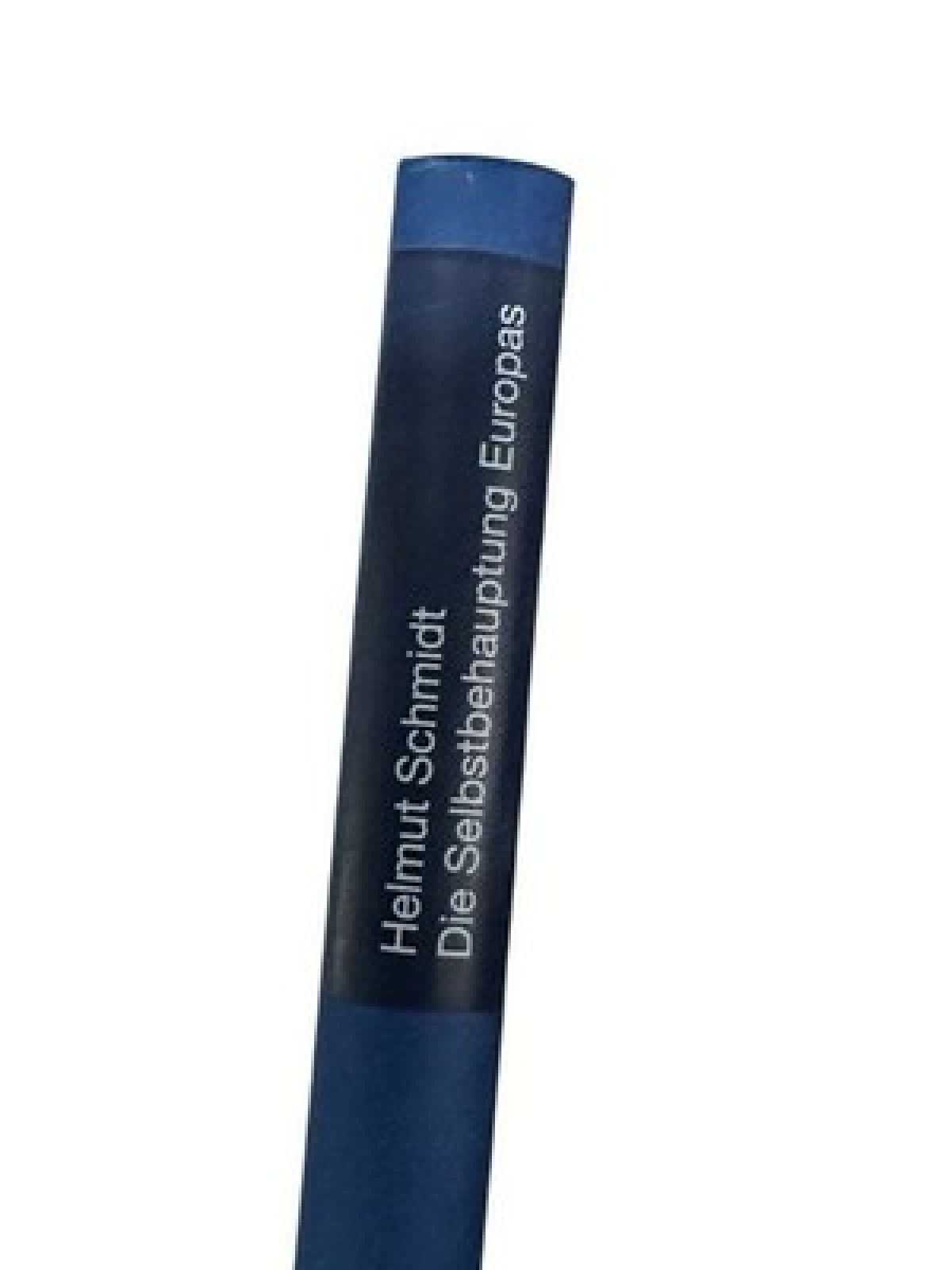 Die Selbstbehauptung Europas: Perspektiven für das 21. Jahrhundert Perspektiven