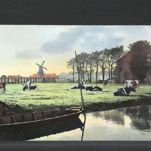 Windmühle Kühe Fluss JW 402958 F