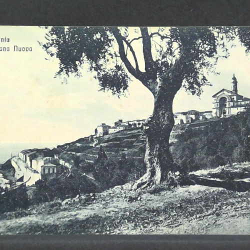 Punia di Bussana Nuova Meer JW 500268 F