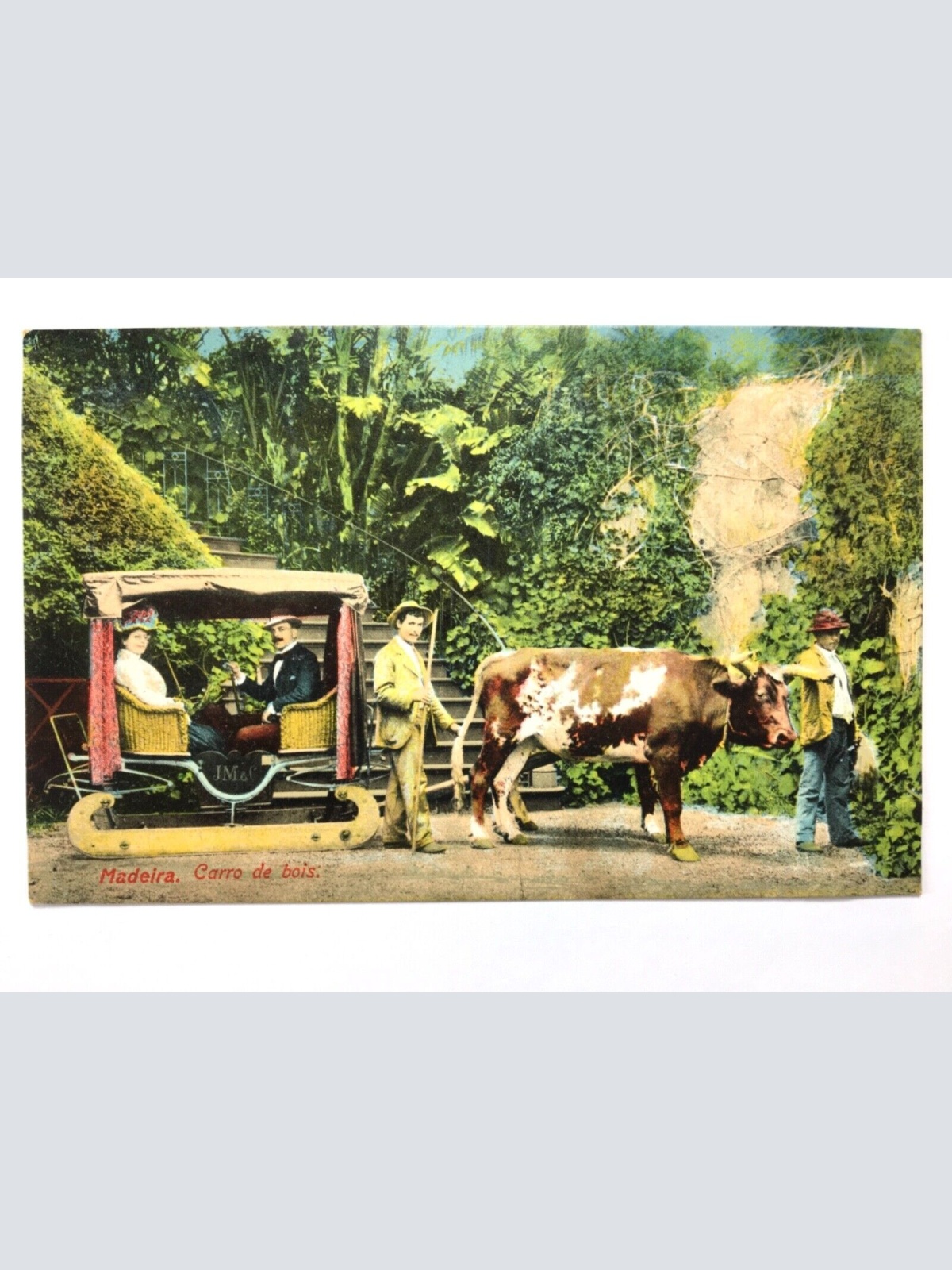 Madeira - Carro de bois - Ochsenkarren 40255 TH