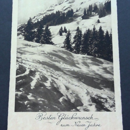 Beste Glückwünsche zum Neuen Jahr Schnee Berge JW 650201 C