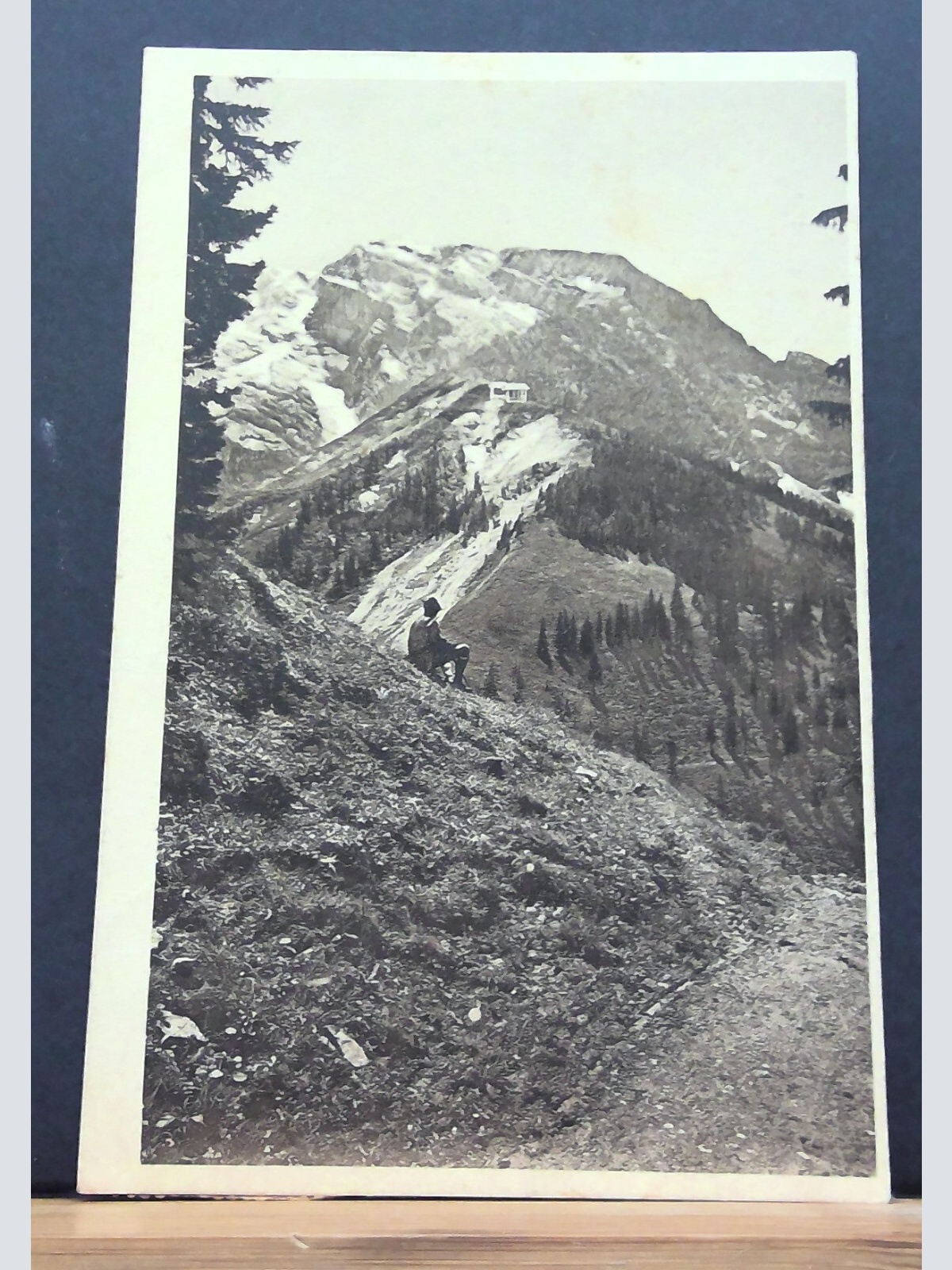 Der Hohe Göll Purtschellerhaus Section Sonneberg Mann in den Bergen JW 650289 C