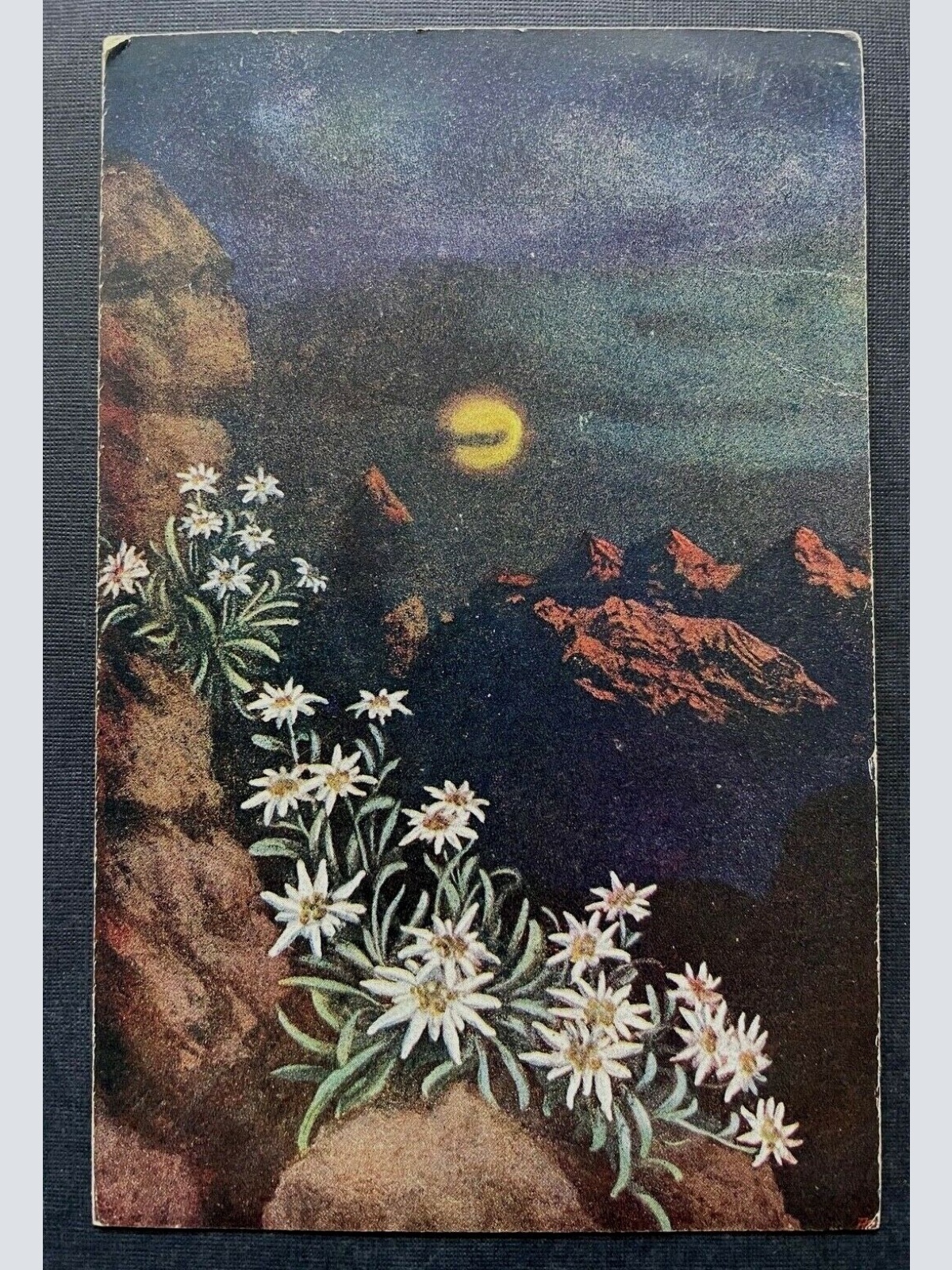 Edelweiss Blume Nacht Mond Gebirge Berg Pflanze Himmel 400314 TH F