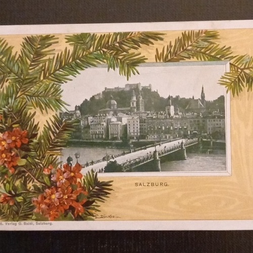 Salzburg Festung Tannenzweig 165790 H