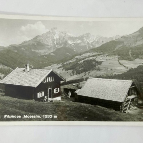 Salzburg Filzmoos Moosalm auf 1330m 60027