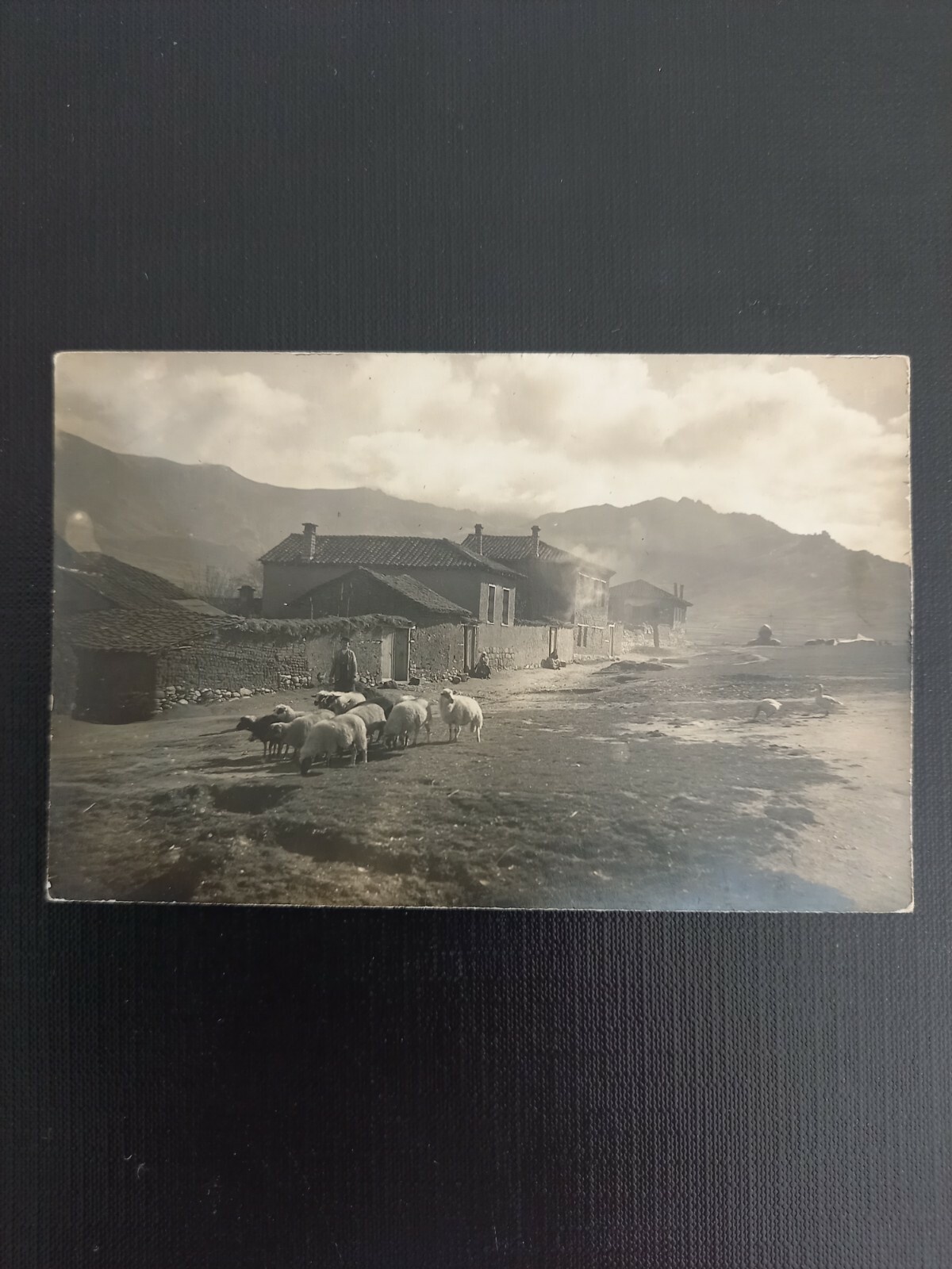 Landschaft mit Schafe 180317 GR A