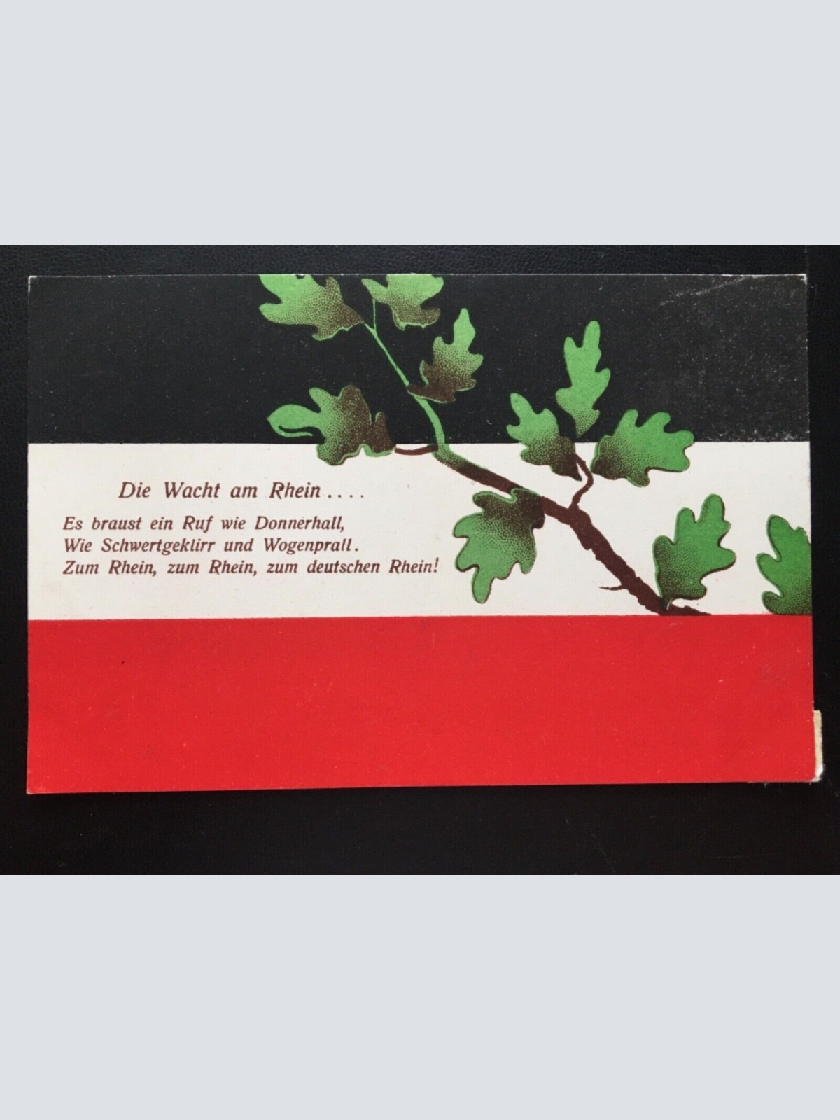 Die Wacht am Rhein - Ast mit Eichelblätter 270039 TH