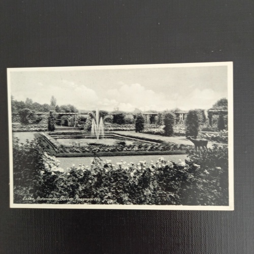 Essen Rosengarten 997/2 GR