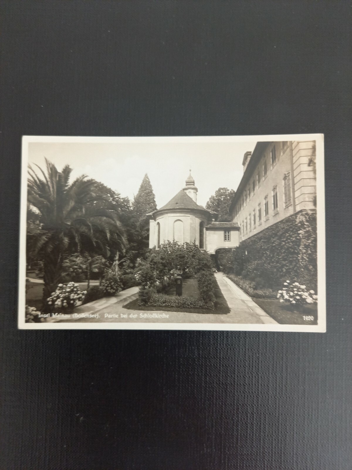 Insel Mainau Bodensee 993 GR