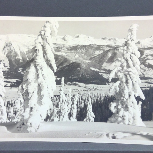 Mitterndorf Winterlandschaft JW 650393 C