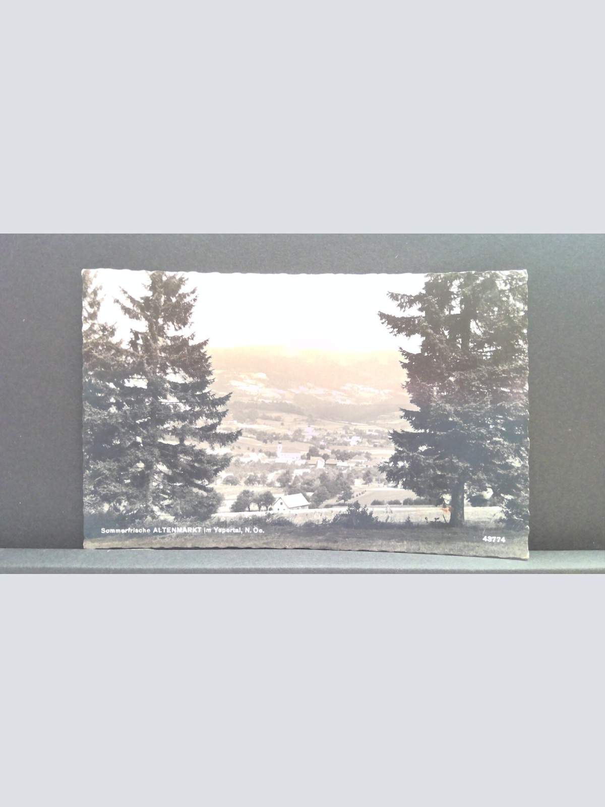 Altenmarkt im Ypsertal Niederösterreich JW 650409 C