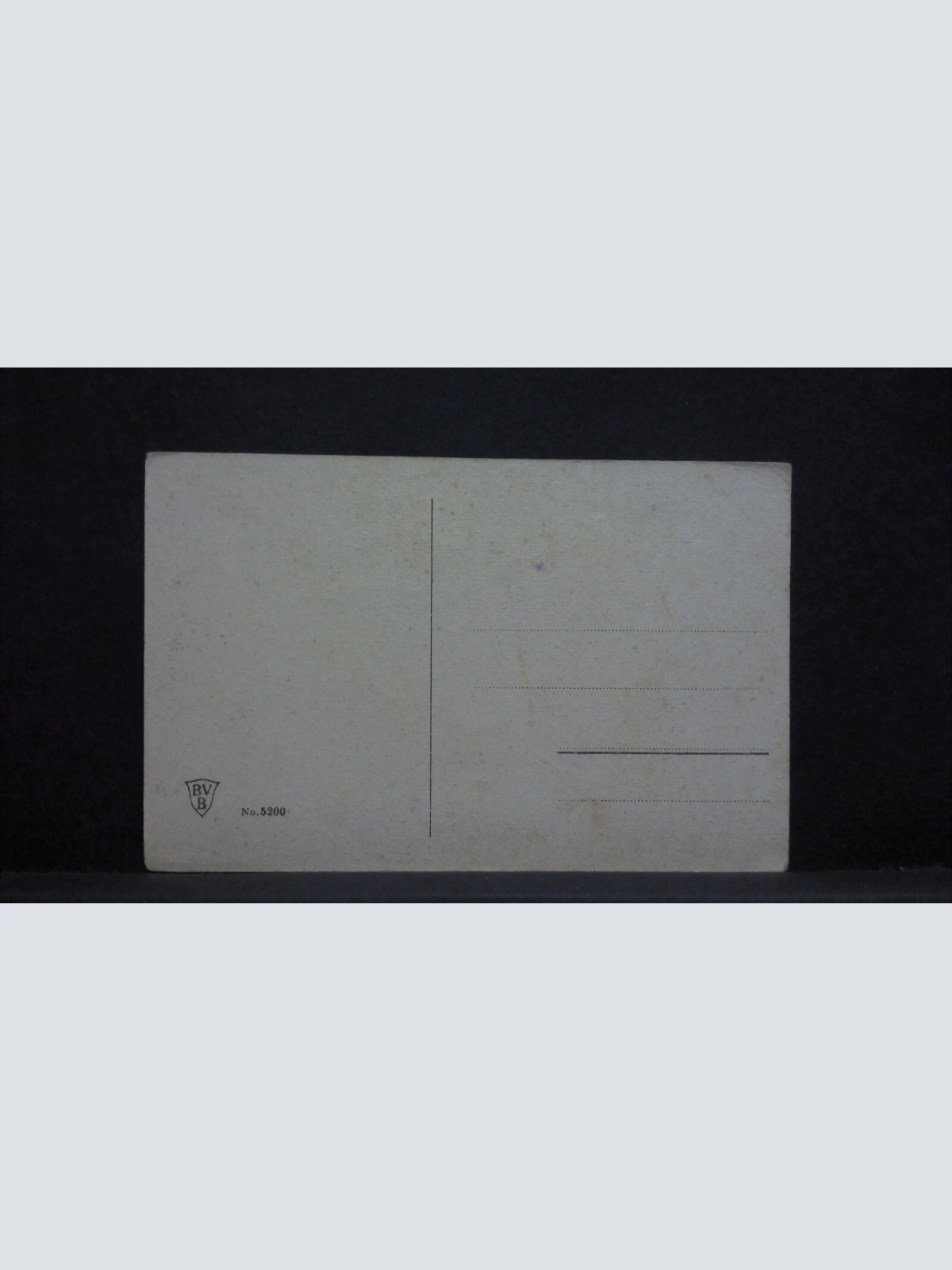 Heimlicher Verehrer Blumenstrauß 400504 jw J