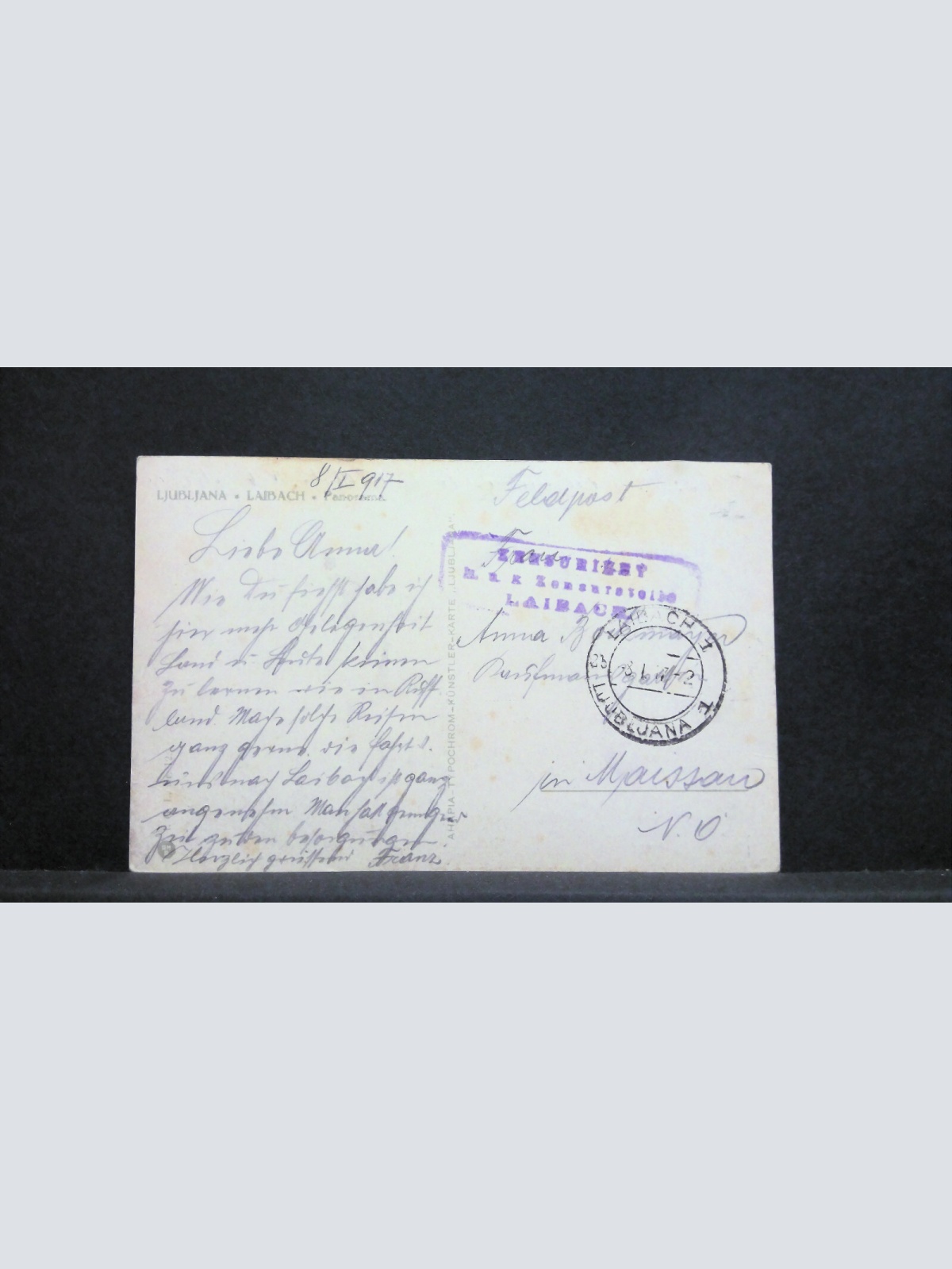 Ljubljana Laibach Slowenien Panorama Gemälde 600119A jw J