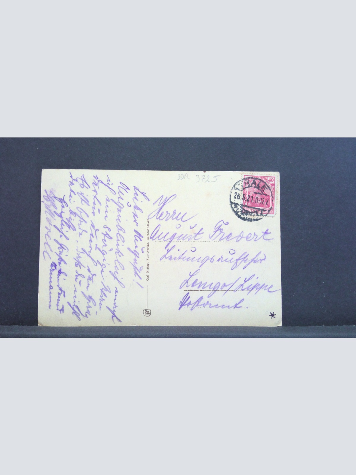 Der Heuscheunenrücken Bodetal Berge 41039 jw J