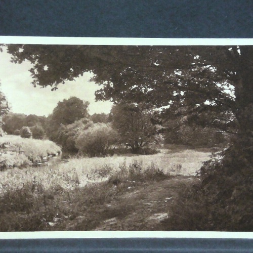 Wald Wiese Bach Ringsum ein Duften und Blühen Naturwanderungen 20099 jw J