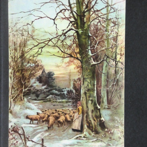 Im Wechsel der Zeiten Winter Schafherde 140414 jw J