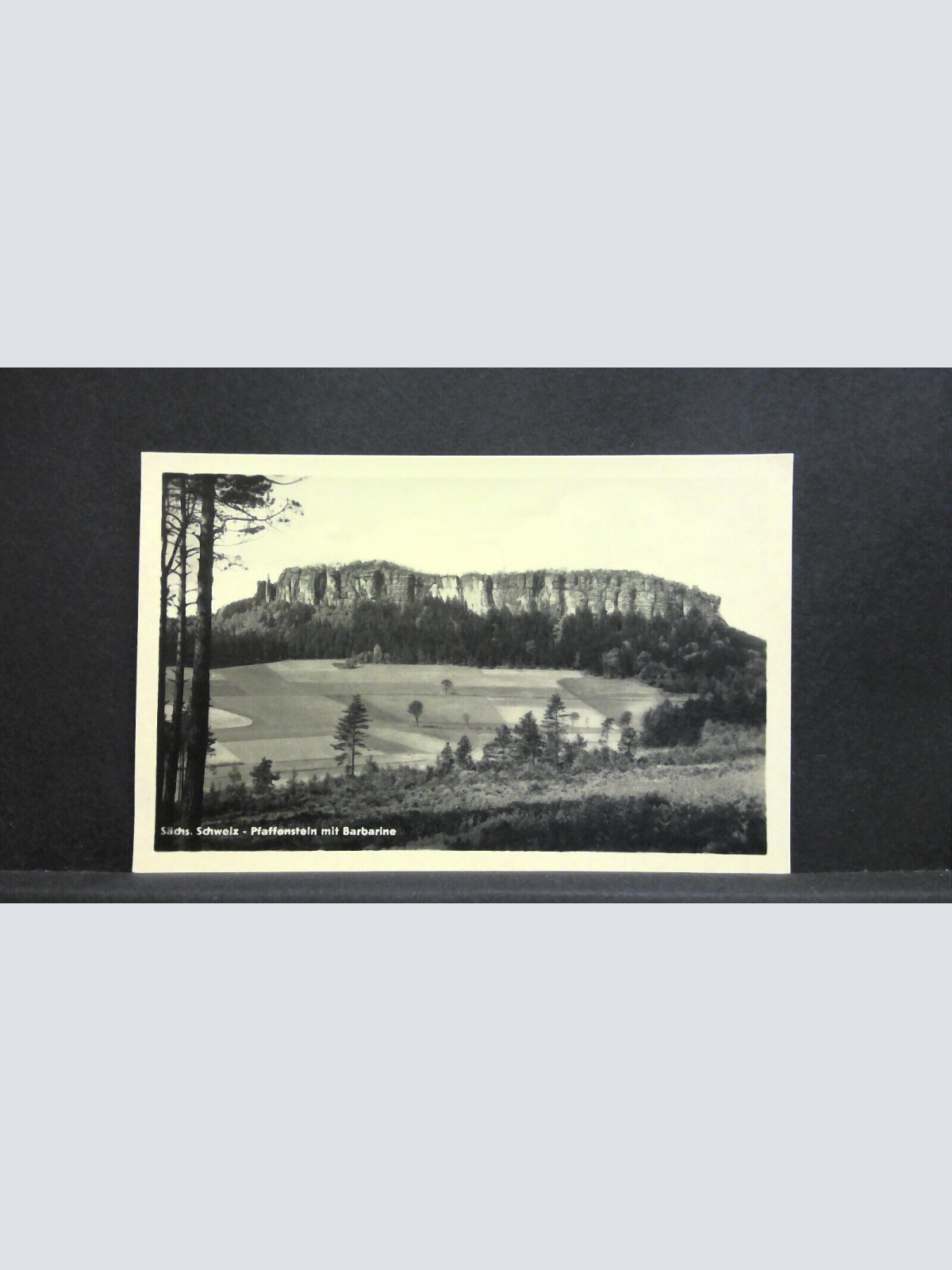 Pfaffenstein mit Barbarine Sächsische Schweiz Berg 180202 jw J