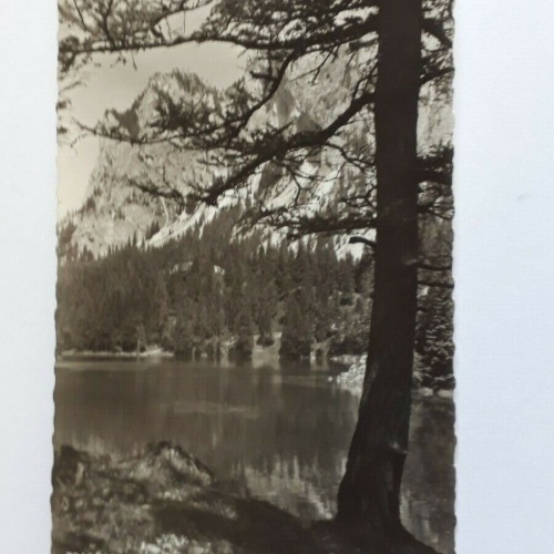 Tragöss - Oberorf, Stmk. Grüner See, 767m. 20104 ShSt