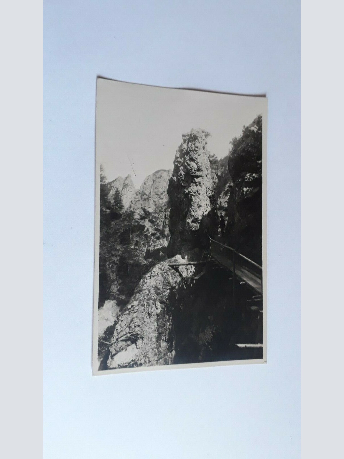 Ötschergräben.20091 ShBer