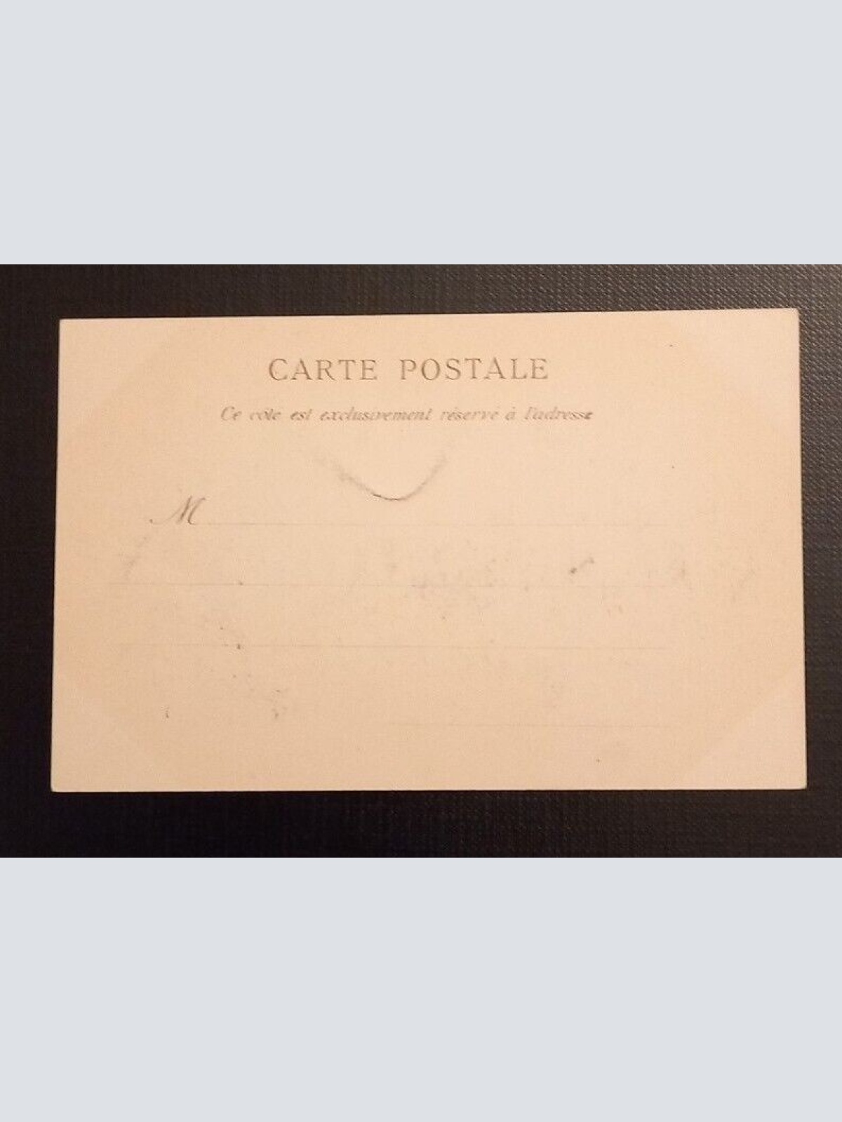 Ansichtskarte Algerien 70 Alger Jardin D'Essais Allee Des Caoutchouce 800047  E