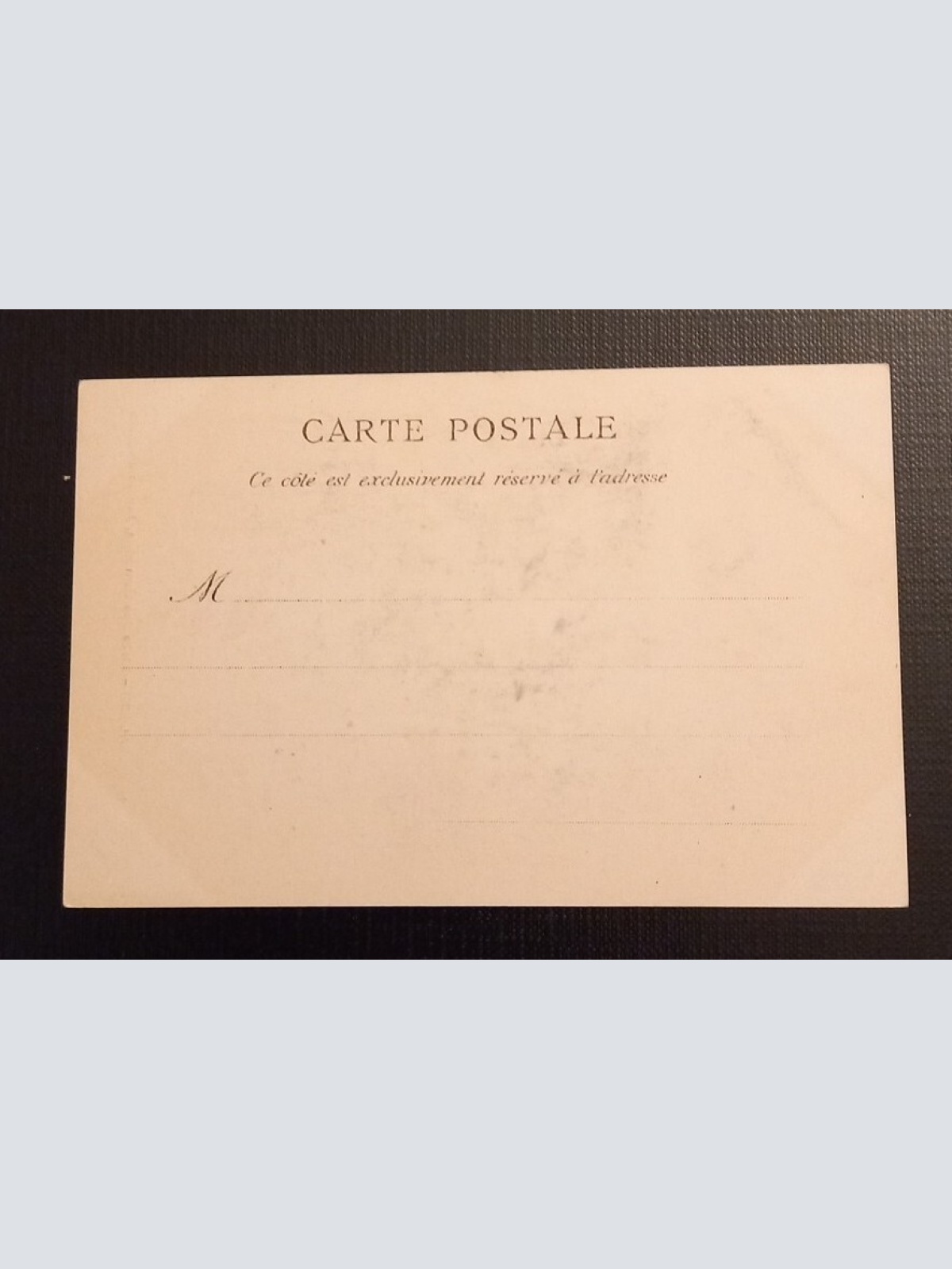 N 48 Alger Allee Des Bambous Jardin D'Essals 800045 Ga