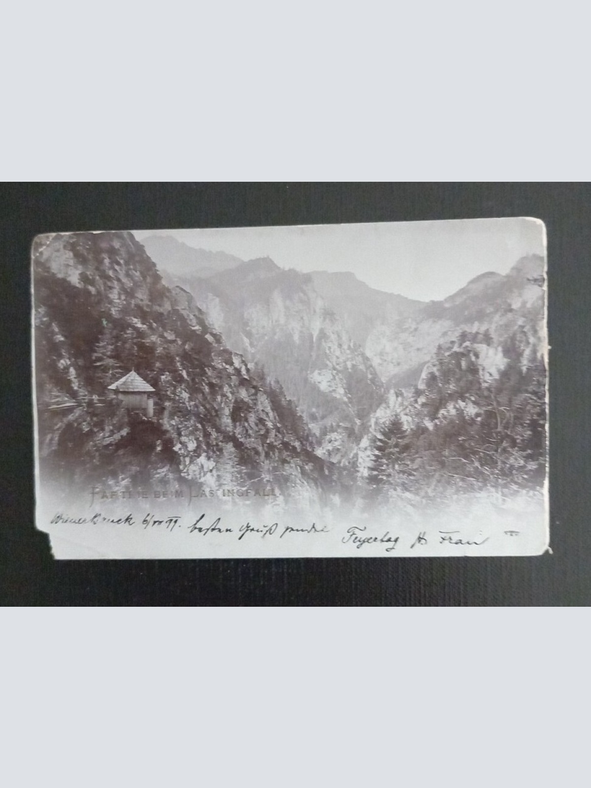 Parthie Beim Lasingfall 800082 Ga E