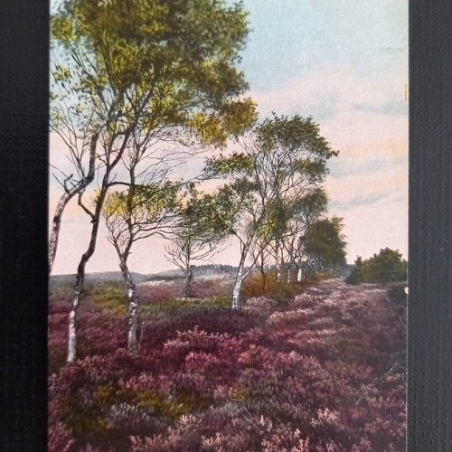 Lüneburger Heide 650318 G