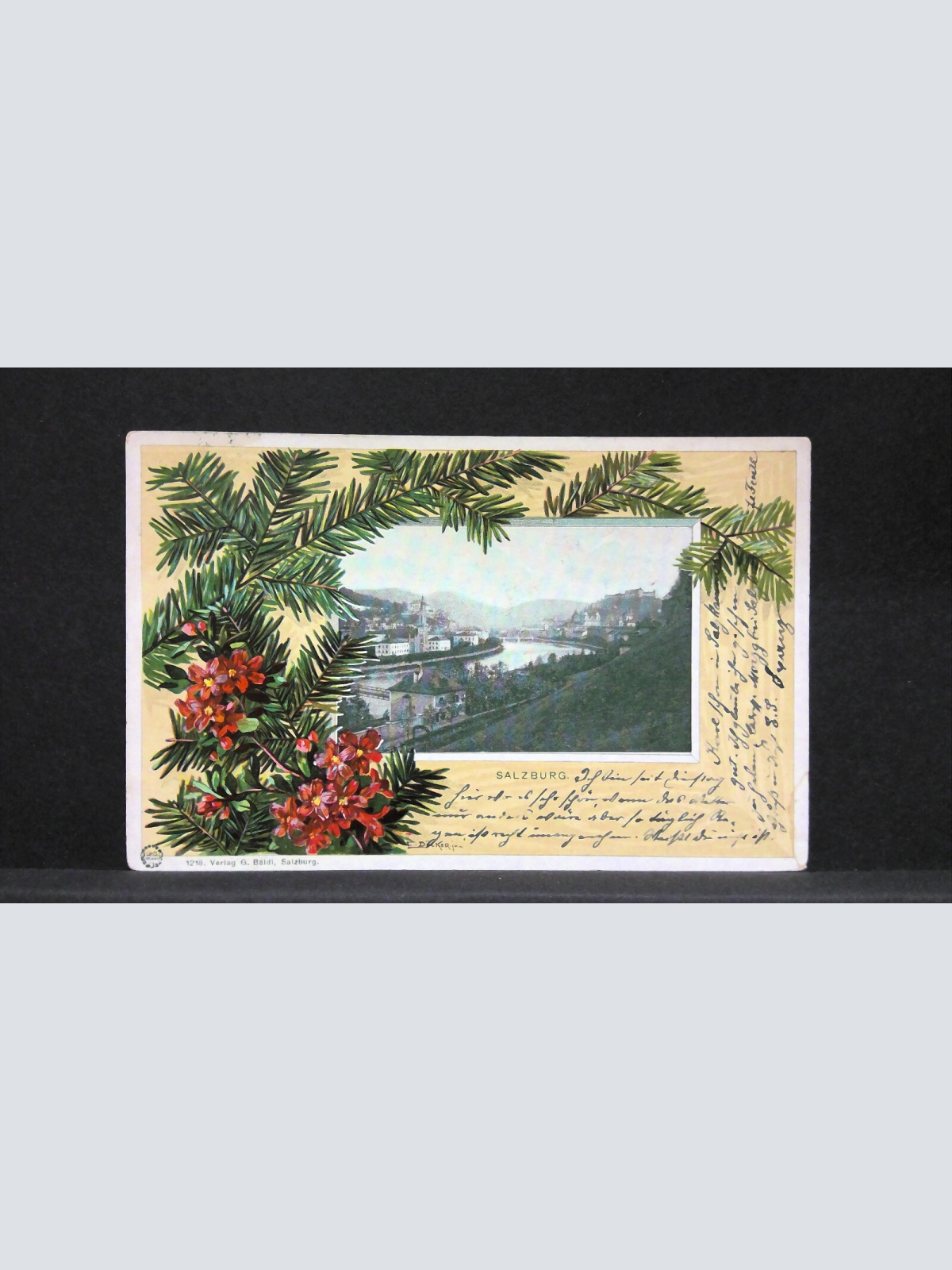 Gruss aus Salzburg Tannenzweige Salzach JW5751