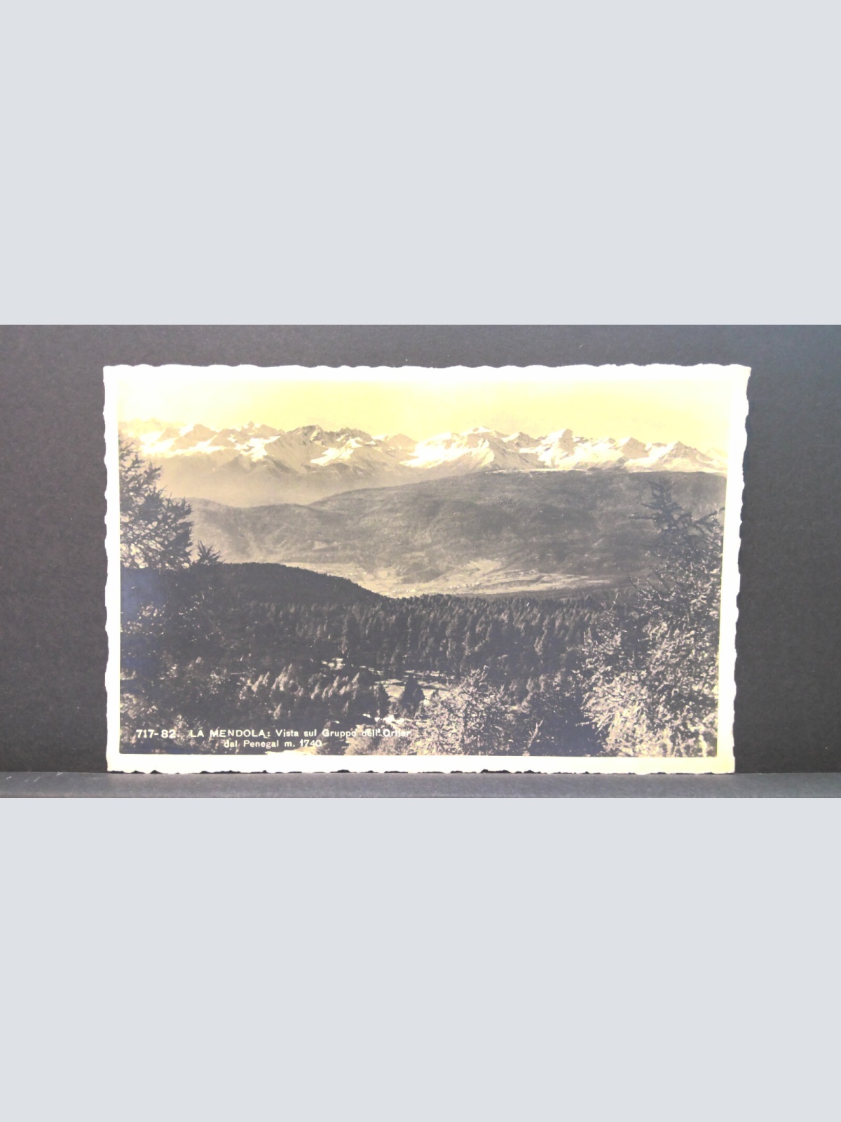La Mendola Vista sui Gruppo del Ortler dal Penegal JW 650444 C