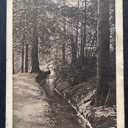 Bad Harzburg Philosophenweg Wald Bach Wandern Niedersachsen Deutschland 400985 A