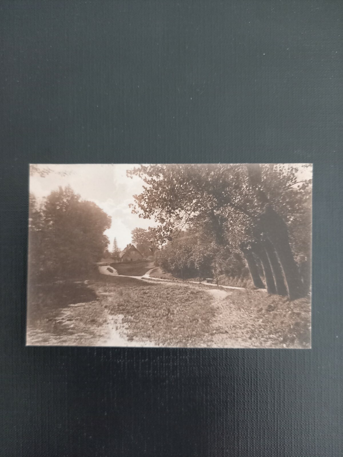 Landschaft Wald  400838 gr A