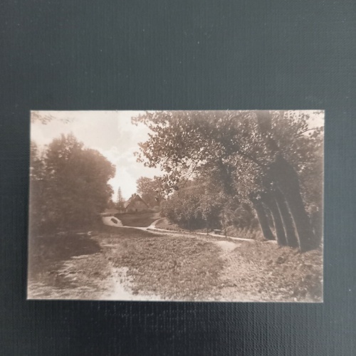 Landschaft Wald  400838 gr A