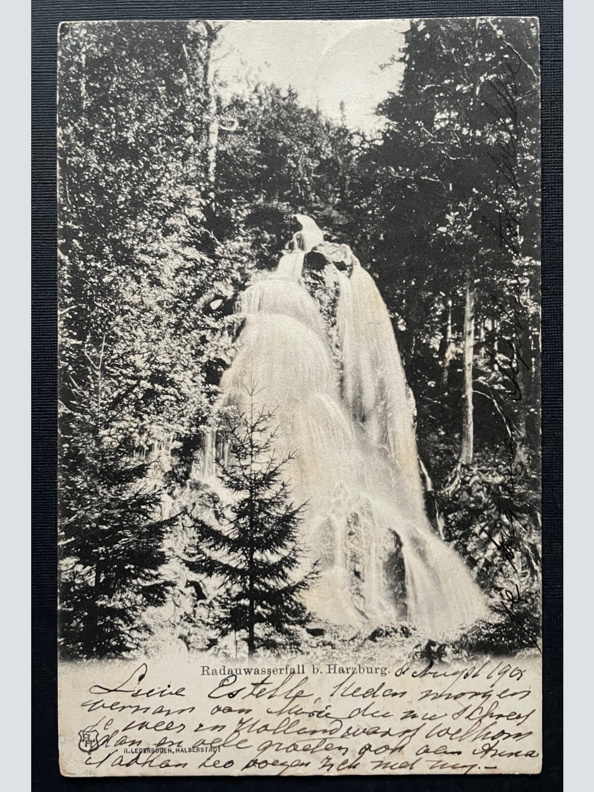 Radau Wasserfall bei Harzburg Bad Wald Niedersachsen Deutschland 400984 TH